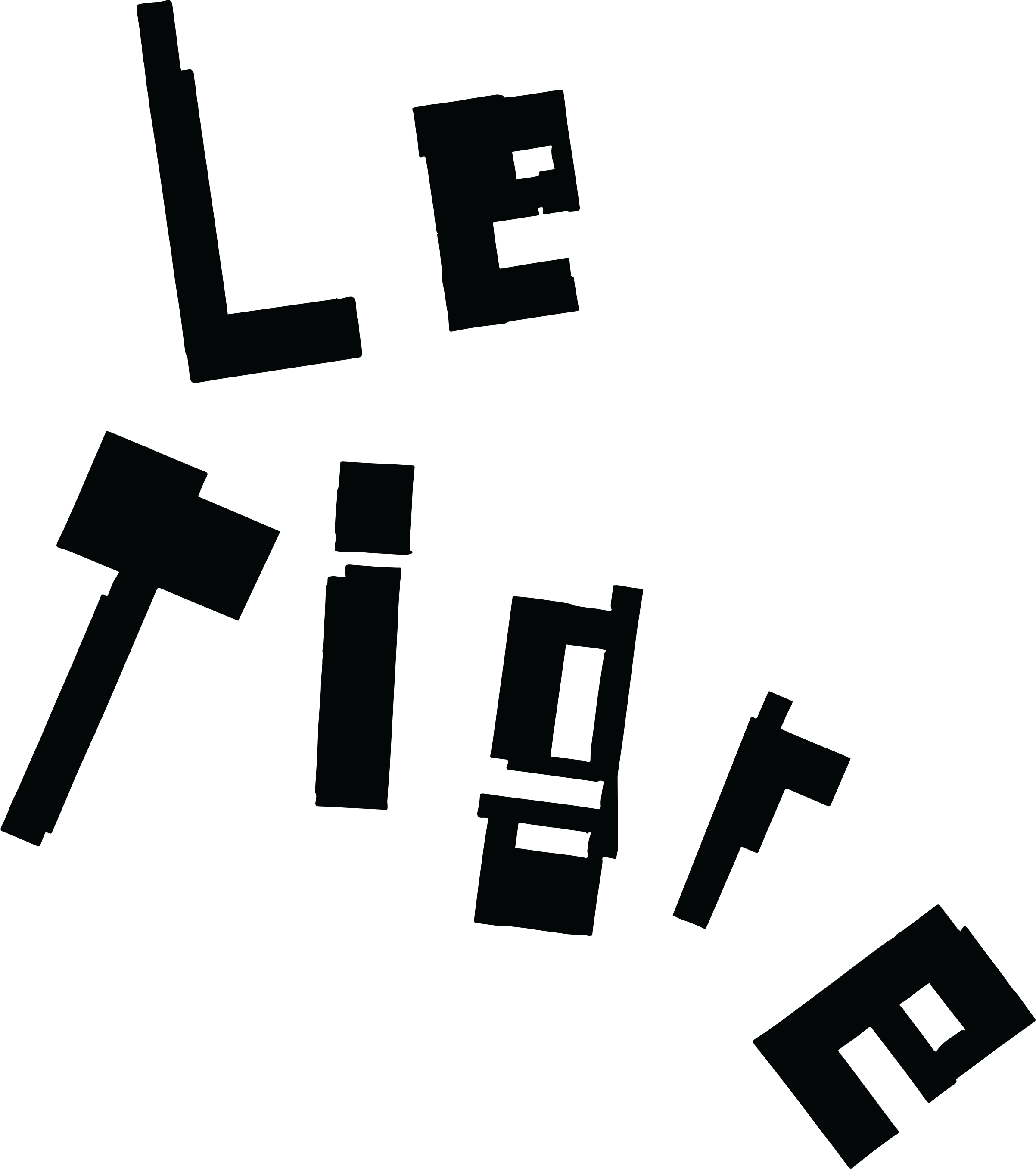 Le Tigre